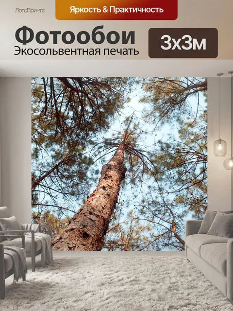 Фотообои Сосновый лес