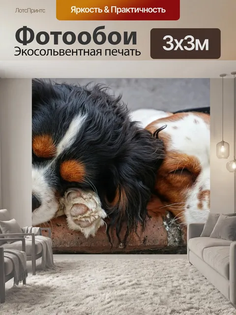 Фотообои Собаки