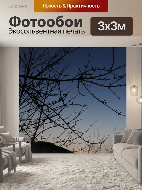 Фотообои Луна
