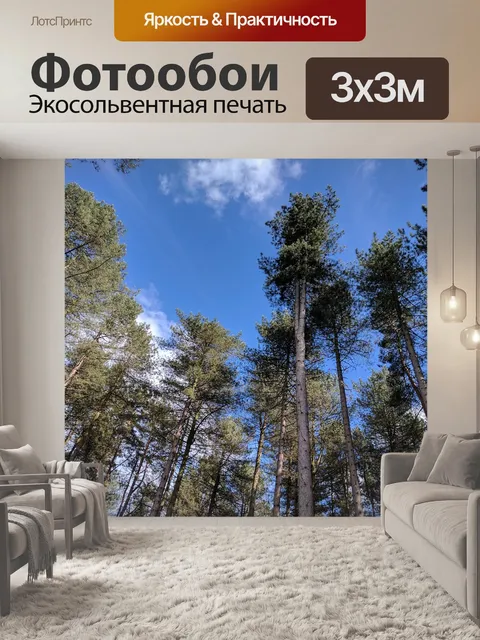 Фотообои Деревья