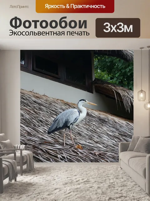 Фотообои Новые функции