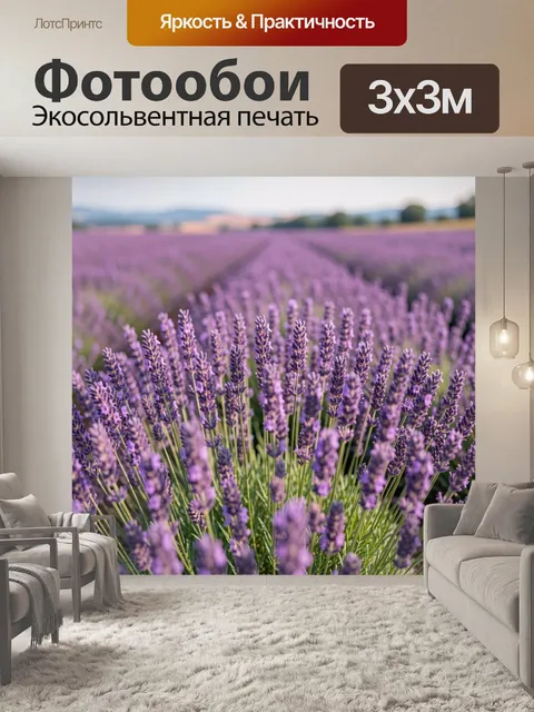 Фотообои Цветущее поле лаванды