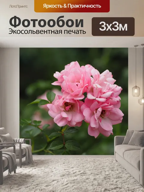 Фотообои Роза