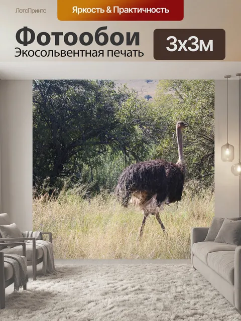 Фотообои женский страус в открытом лесу