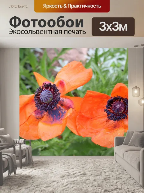 Фотообои Растительность