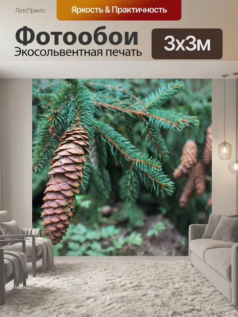 Фотообои Ель