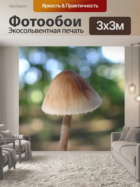 Фотообои Лес