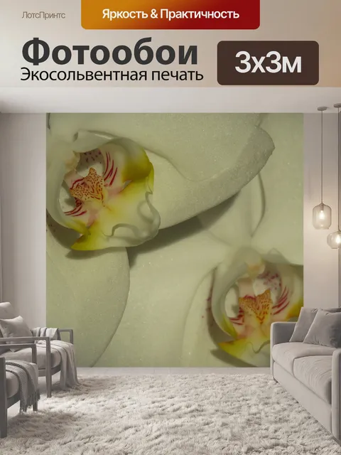 Фотообои Орхидея