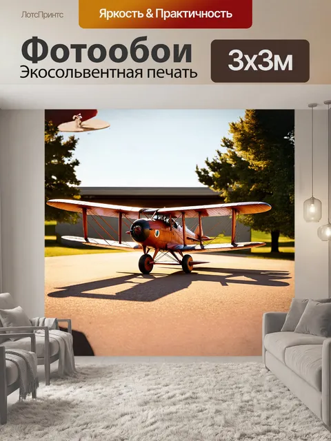 Фотообои модель старинного биплана