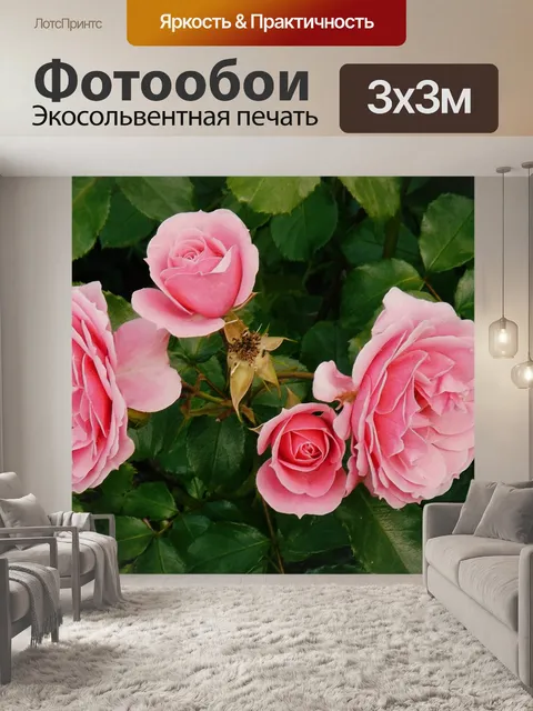 Фотообои Розы