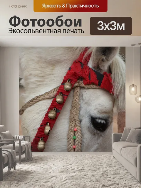 Фотообои Животное