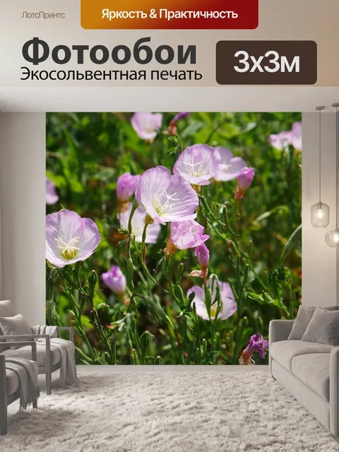 Фотообои Цветы