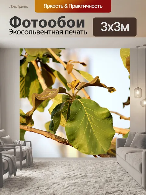 Фотообои Дикое дерево листья