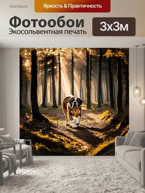 Фотообои сенбернар наедине с природой