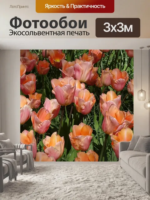 Фотообои Тюльпаны