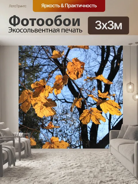 Фотообои Падение