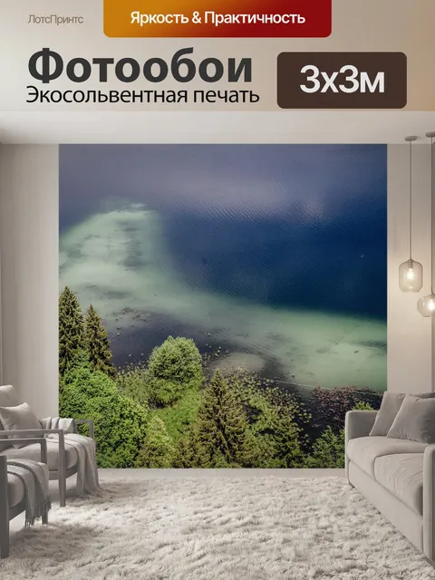Фотообои Лес