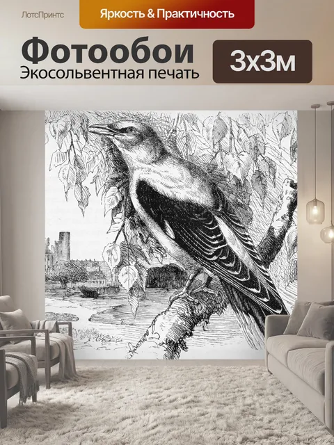 Фотообои Золотая иволга