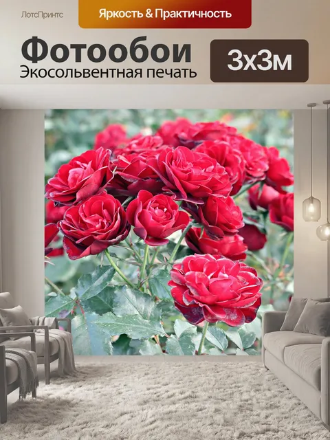 Фотообои Цветы