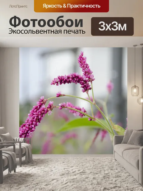 Фотообои Цветы
