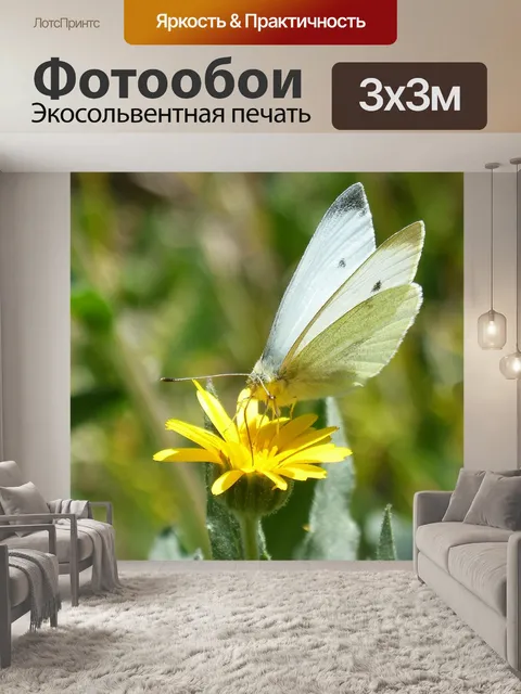 Фотообои Бабочка