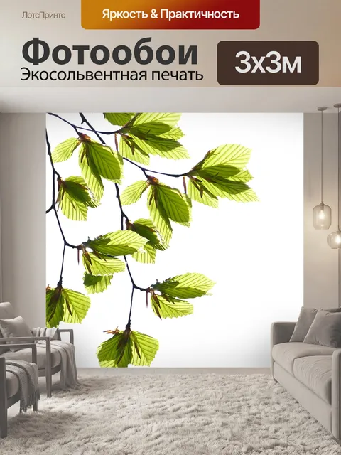 Фотообои Ветви