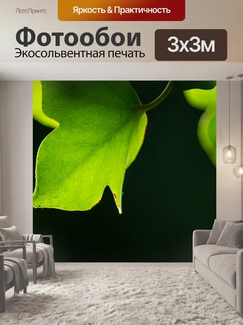 Фотообои Лист
