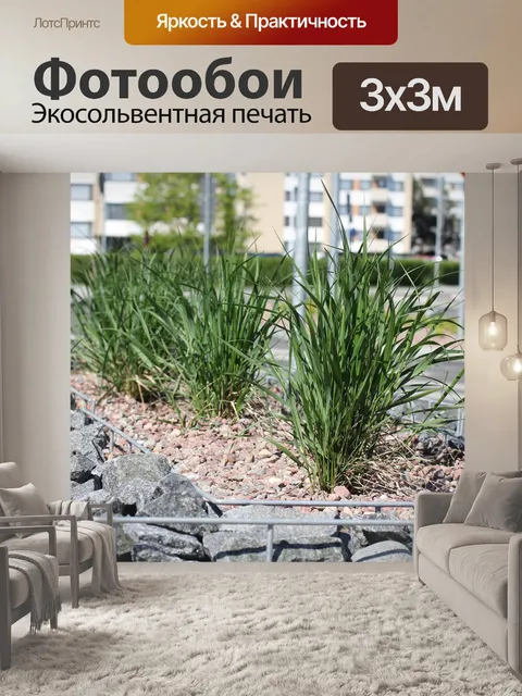 Фотообои Трава