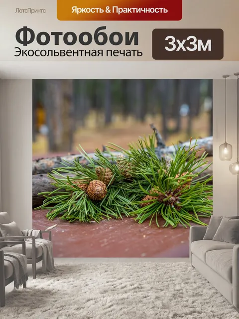 Фотообои Лес