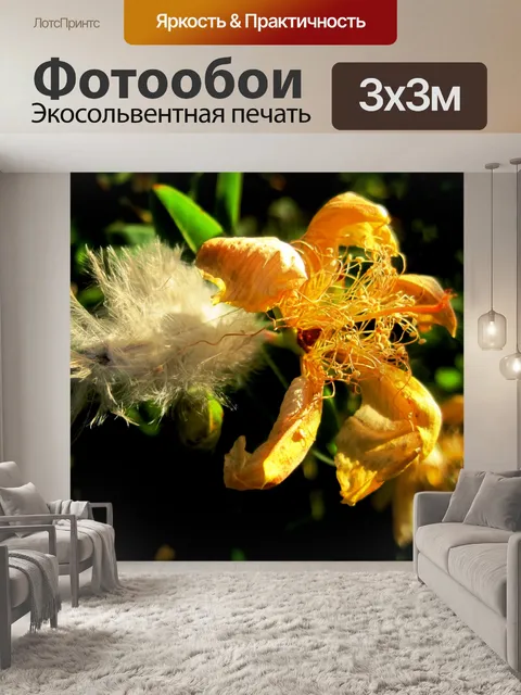 Фотообои взъерошенные перья и затухающая цветок