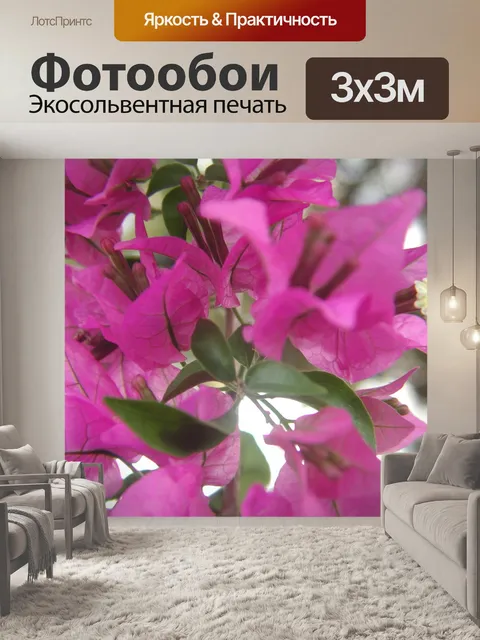 Фотообои Бугенвиль Close Up