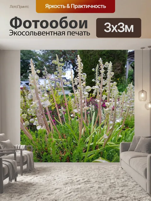 Фотообои Цветы