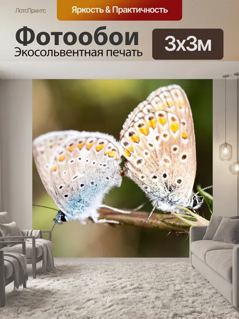 Фотообои Бабочки