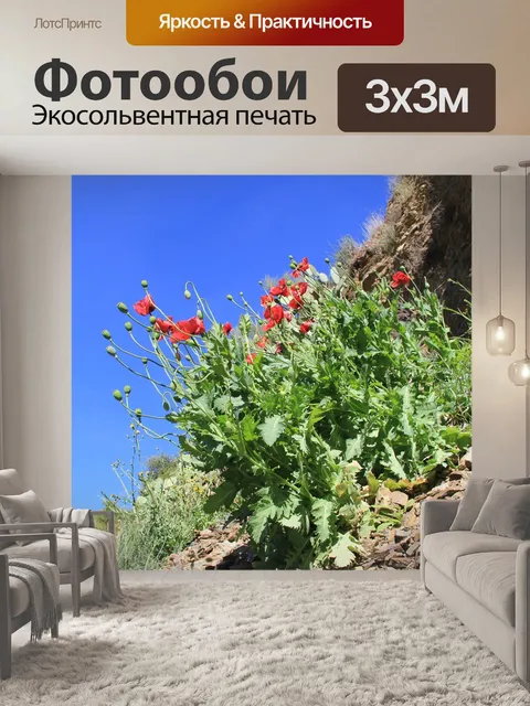 Фотообои Мак