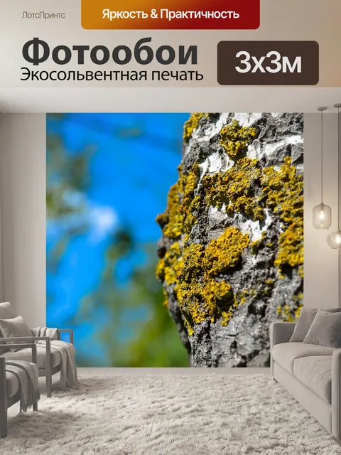 Фотообои Лес