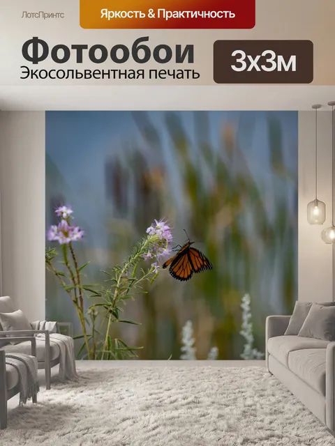 Фотообои Бабочка монарх на полевом цветке