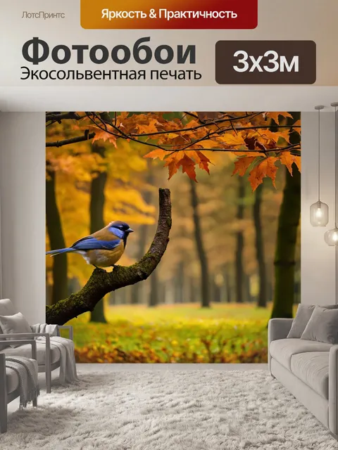 Фотообои осень — утренние серенады птиц в тишине леса