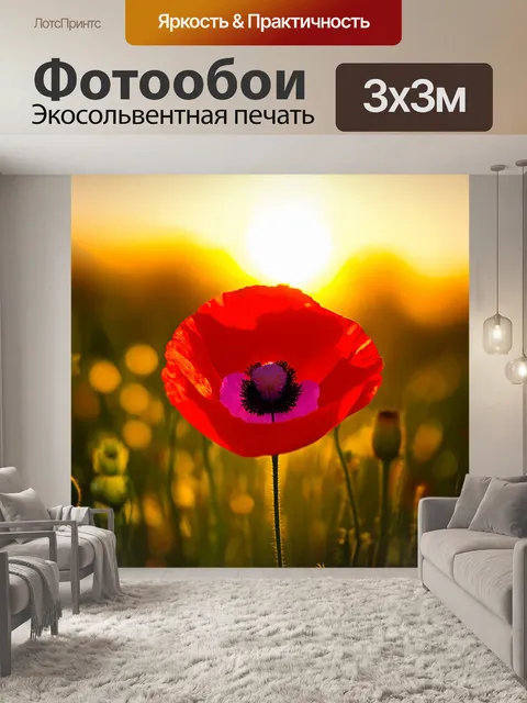 Фотообои мак, запечатлённый в моменте заката, когда его красный цвет контрастирует с золотыми и оранжевыми оттенками…