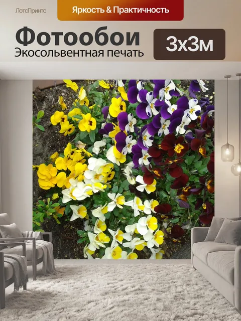 Фотообои Цветы анютины глазки