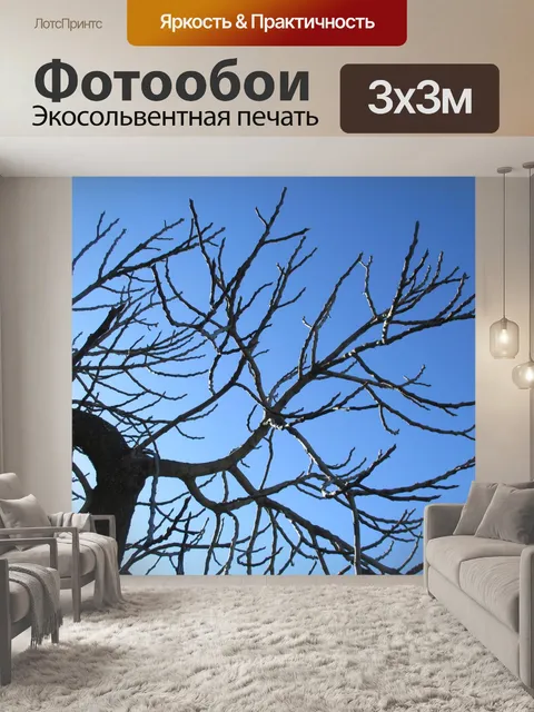 Фотообои Дерево