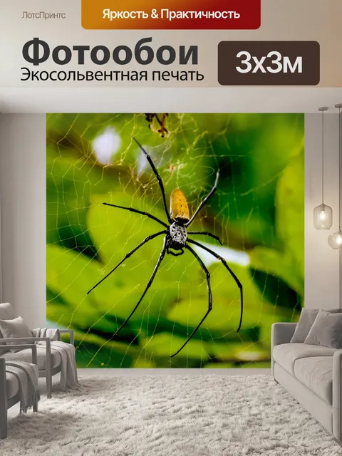 Фотообои Паук