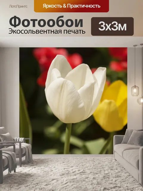 Фотообои Тюльпаны