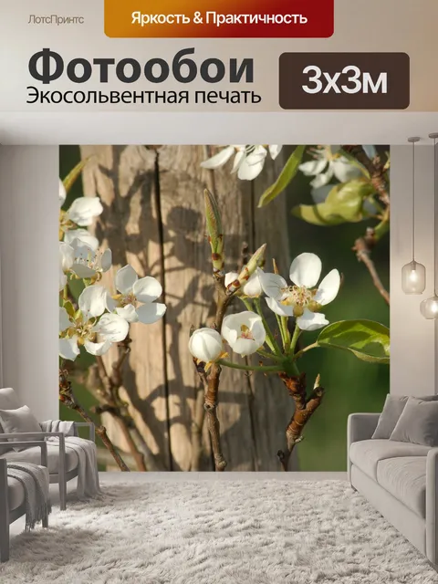 Фотообои Процветать