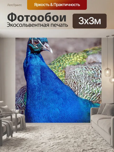 Фотообои Павлин