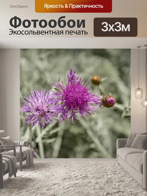 Фотообои Цветы