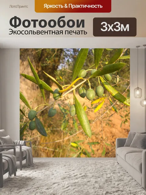Фотообои Оливковый