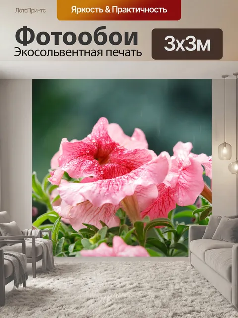 Фотообои Балконные цветы после дождя
