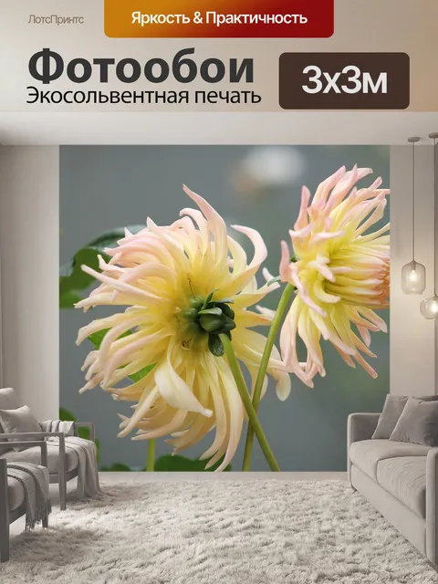 Фотообои Цветы
