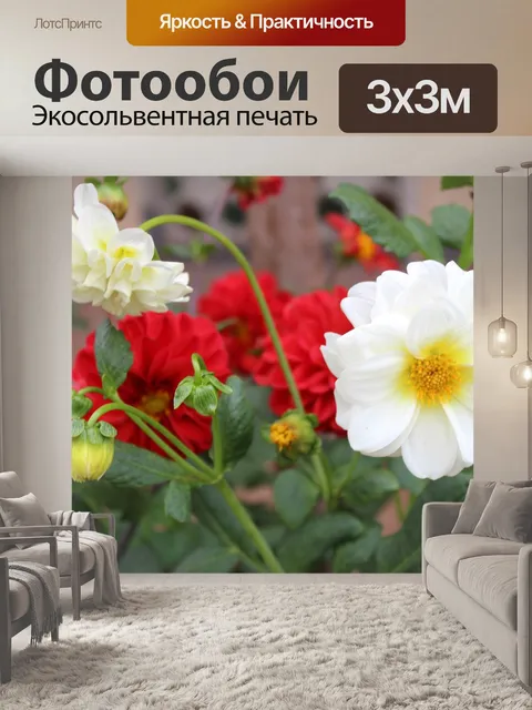 Фотообои Розы