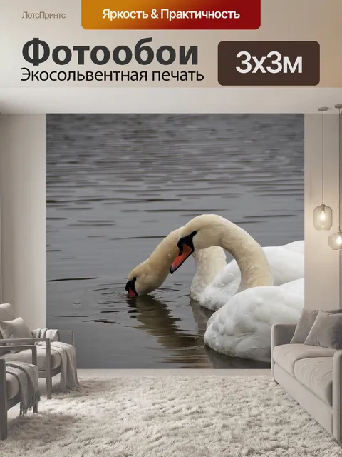 Фотообои Лебеди